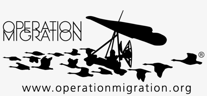 Operation Migration, transparent png #1559249