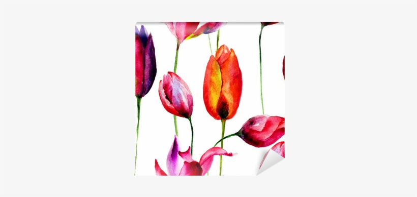 Watercolor Illustration Of Tulips Flowers Wall Mural - Watercolor Painting, transparent png #1559998