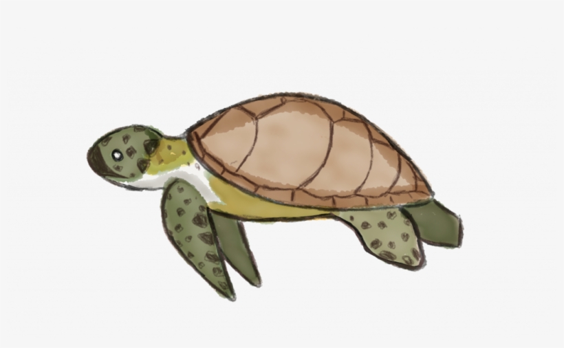 Miami Beach, transparent png #1560369