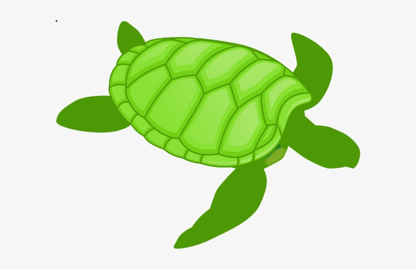 Sea Turtle Clipart Small Turtle - Objects That Is Green Color, transparent png #1560496