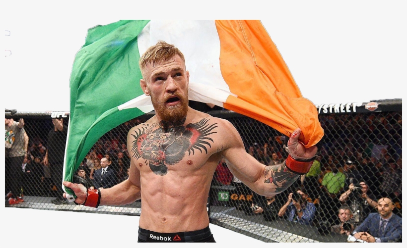Connor Mcgregor - Ufc - A Visual History [book], transparent png #1560544