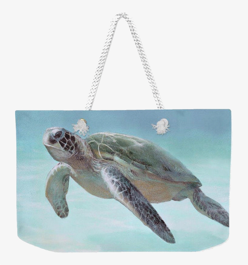 Home Decor & Accessories - Loggerhead Sea Turtle, transparent png #1560547