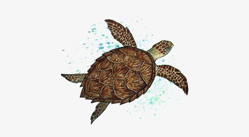 Click And Drag To Re-position The Image, If Desired - Hawksbill Sea Turtle By Amber Marine ~ Watercolo..., transparent png #1560597