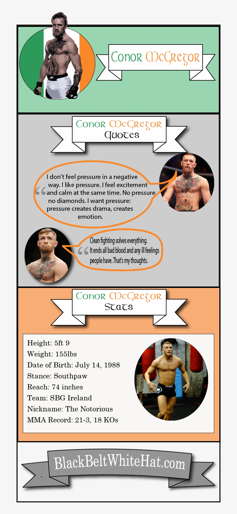 Conor Mcgregor Infographic - Lingerie, transparent png #1560618