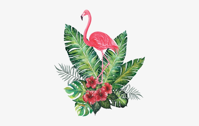 Tropical Png - Flamingo Tropical Png, transparent png #1561496