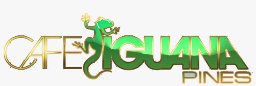 George Dukes B-day Hosted By Dj Khaled, Birdman, Jaquees - Cafe Iguana, transparent png #1562293
