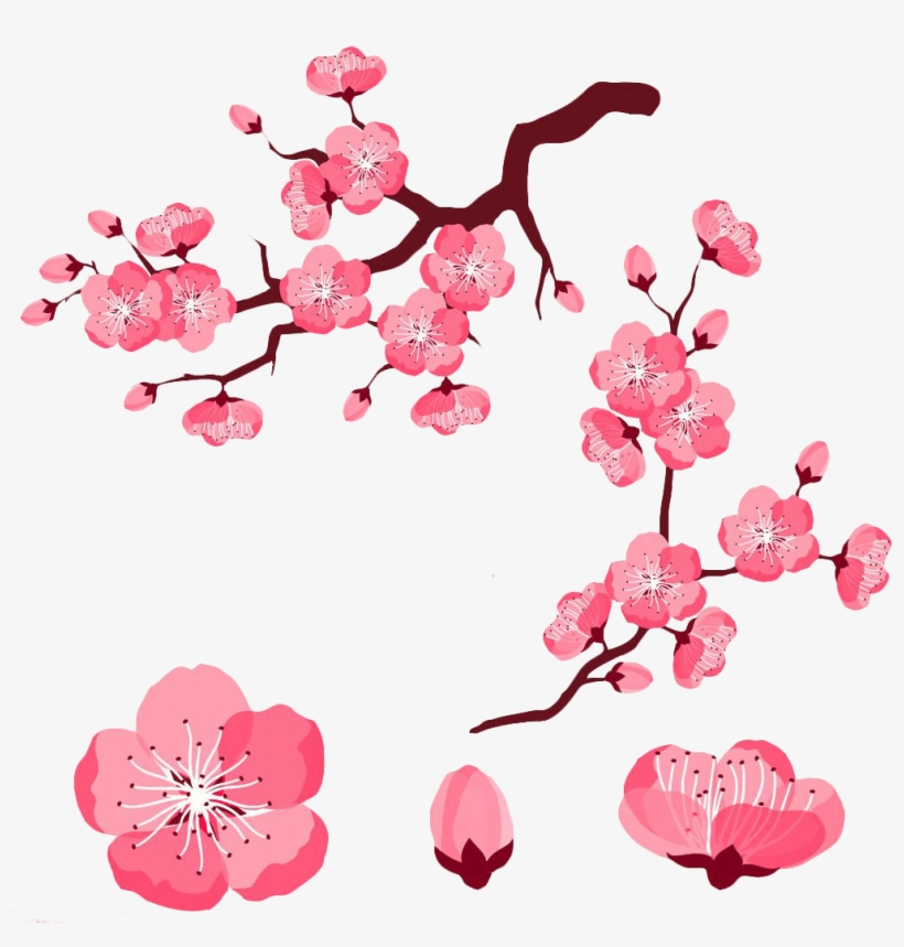 Cherry Blossom Petals Clipart 4 By Jared - Cherry Blossom Flower Cartoon, transparent png #1562581