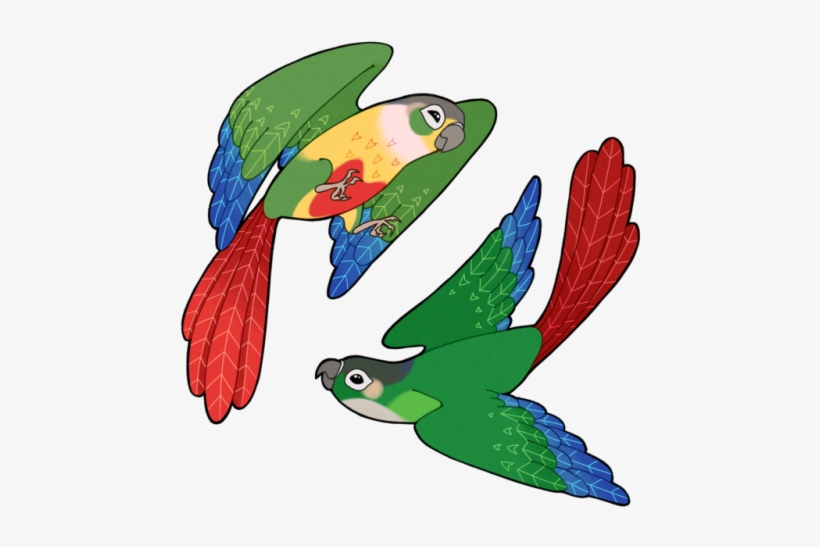 Some Little Green Cheeks They're Also Available As - Conure Clip Art, transparent png #1562920