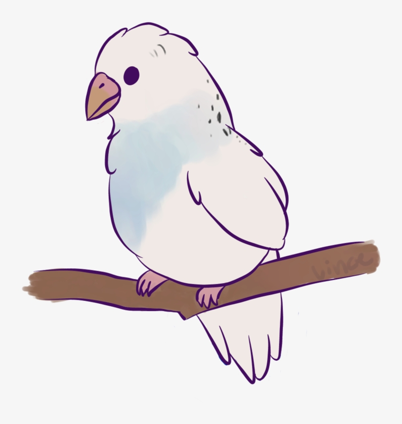 Clipart Freeuse Birb Drawing - Birb Drawing, transparent png #1562984