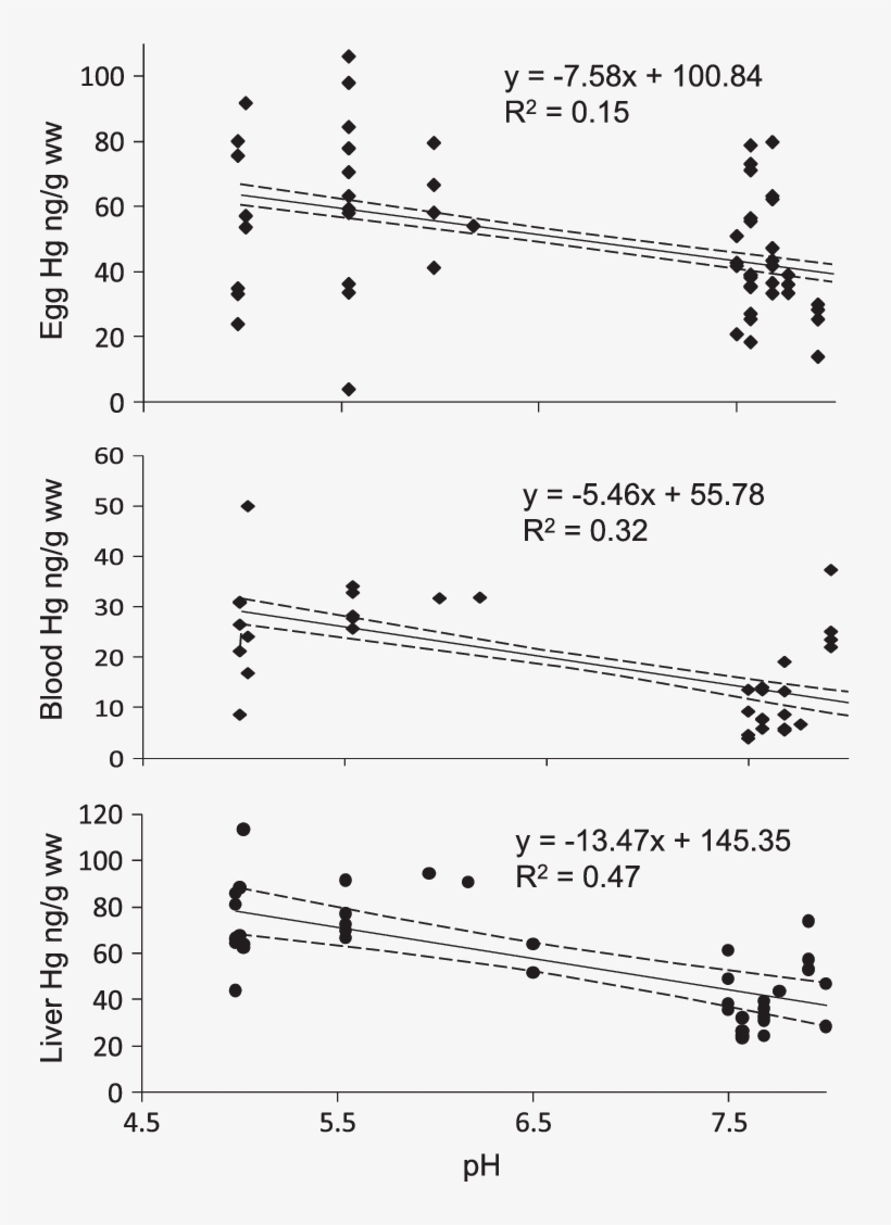 Scatter Plot And Regression Of Mercury Concentrations - Diagram, transparent png #1563246