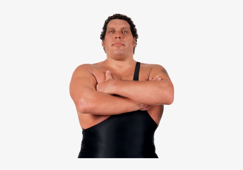 Andre The Giant Poses For Photo - André The Giant And The Big Show, transparent png #1563745