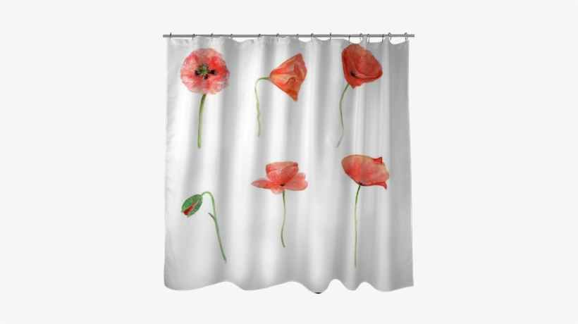 Red Poppy, Watercolor Flower Collection, Floral Hand - Drawing, transparent png #1563832