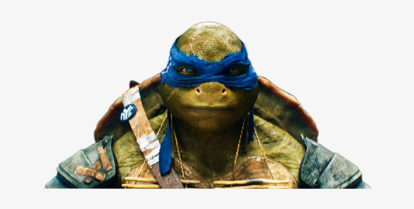 Download - New Leonardo Ninja Turtle, transparent png #1564380