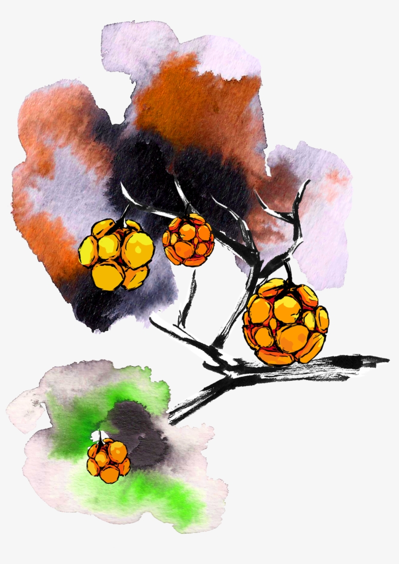 Brancheoiseaux1 Branchefruits1 Titre 4 Branchevide1 - Child Art, transparent png #1564792