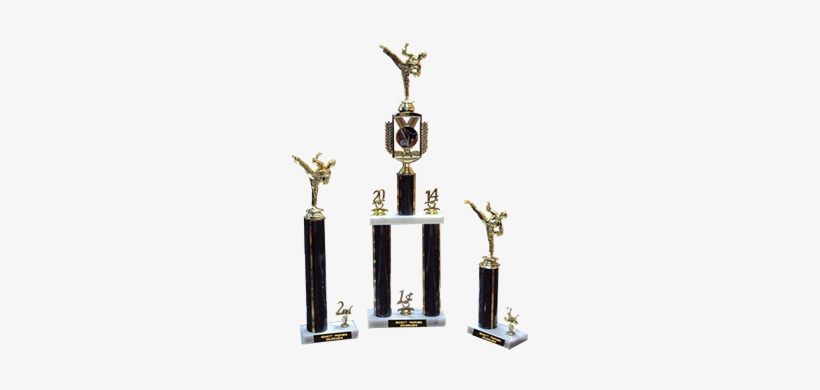 Karate Tournament Trophies From Schott Trophy, San - Martial Arts Tournament Trophy, transparent png #1565062
