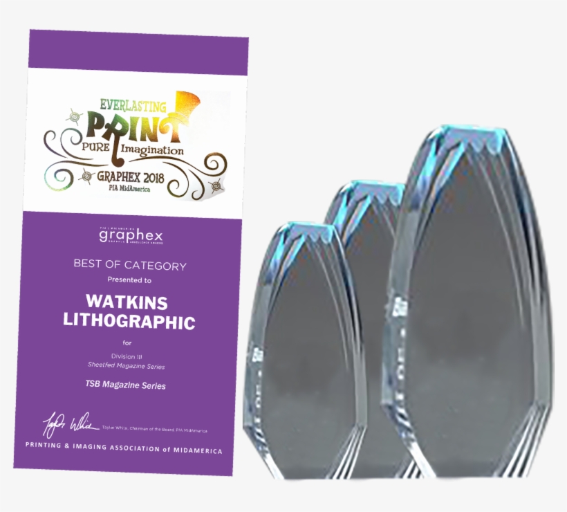 You May Make Any Changes/additions You'd Like As Long - Trophy, transparent png #1565159