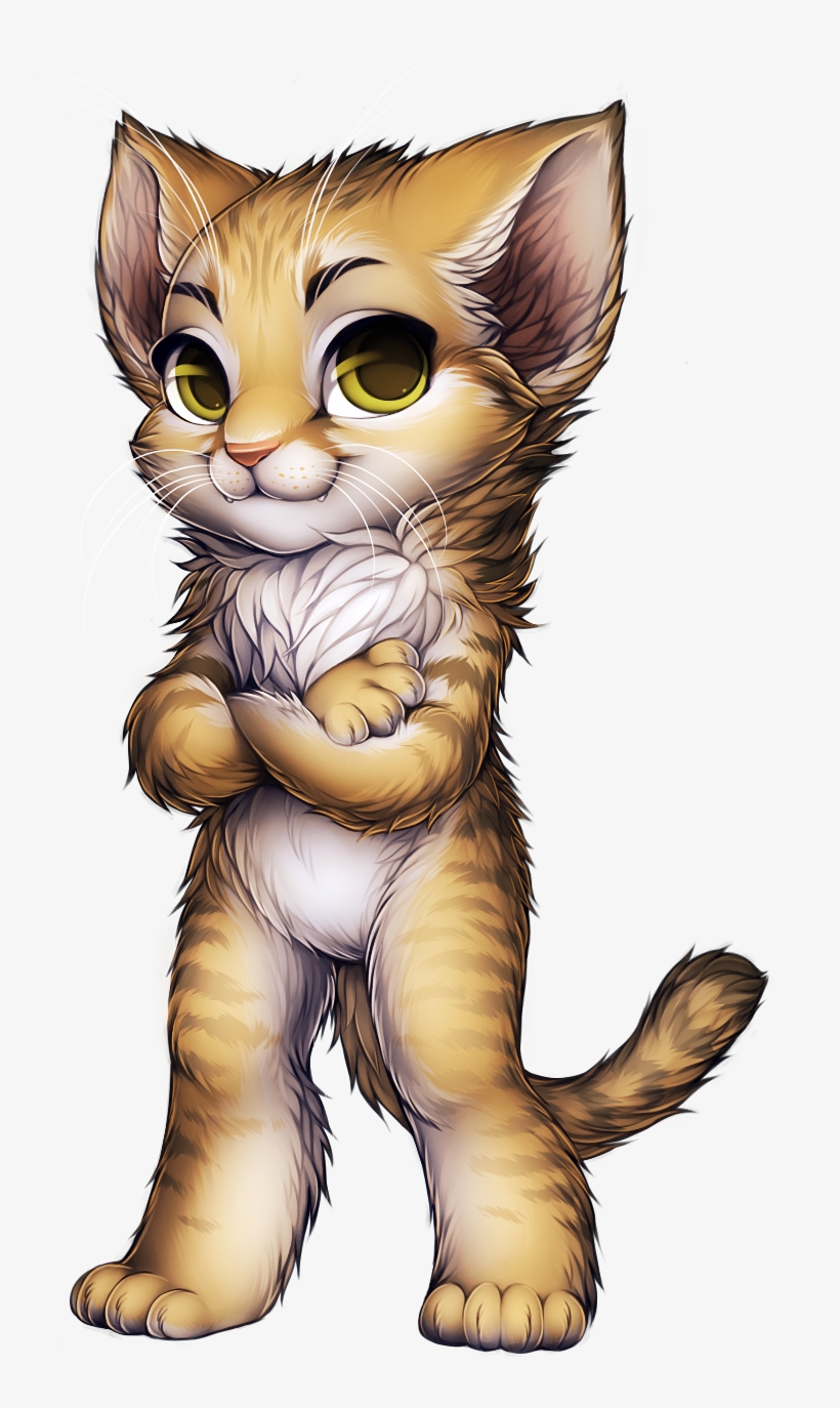Ayseyvx - Maine Coon Siamese Cat, transparent png #1567295