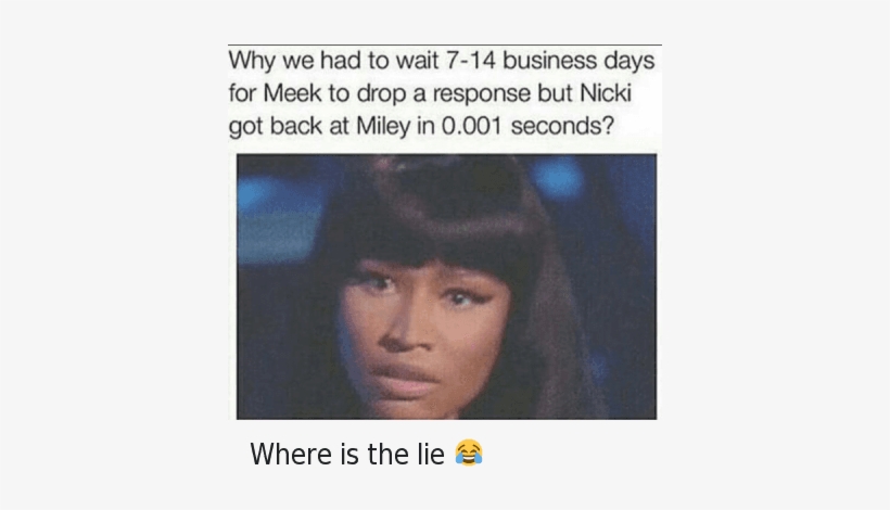 Meek Mill, Miley Cyrus, And Nicki Minaj - Memes About Nicki Minaj, transparent png #1569082