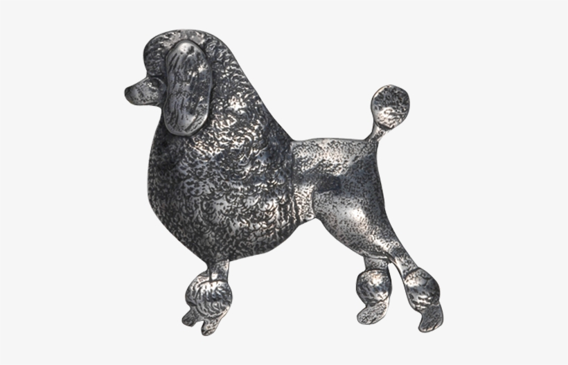 Poodle Pin/pendant, transparent png #1569314
