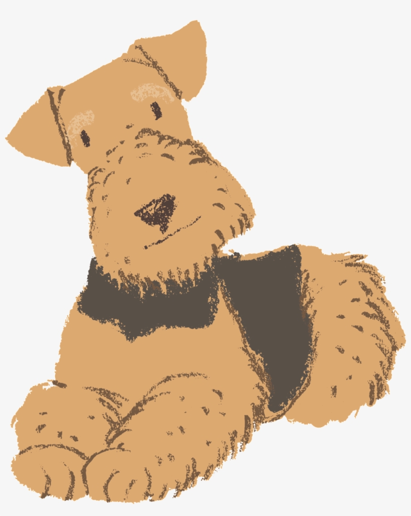 A Hand-painted Poodle Is Free To Buckle The Dog Material - Dog, transparent png #1569318