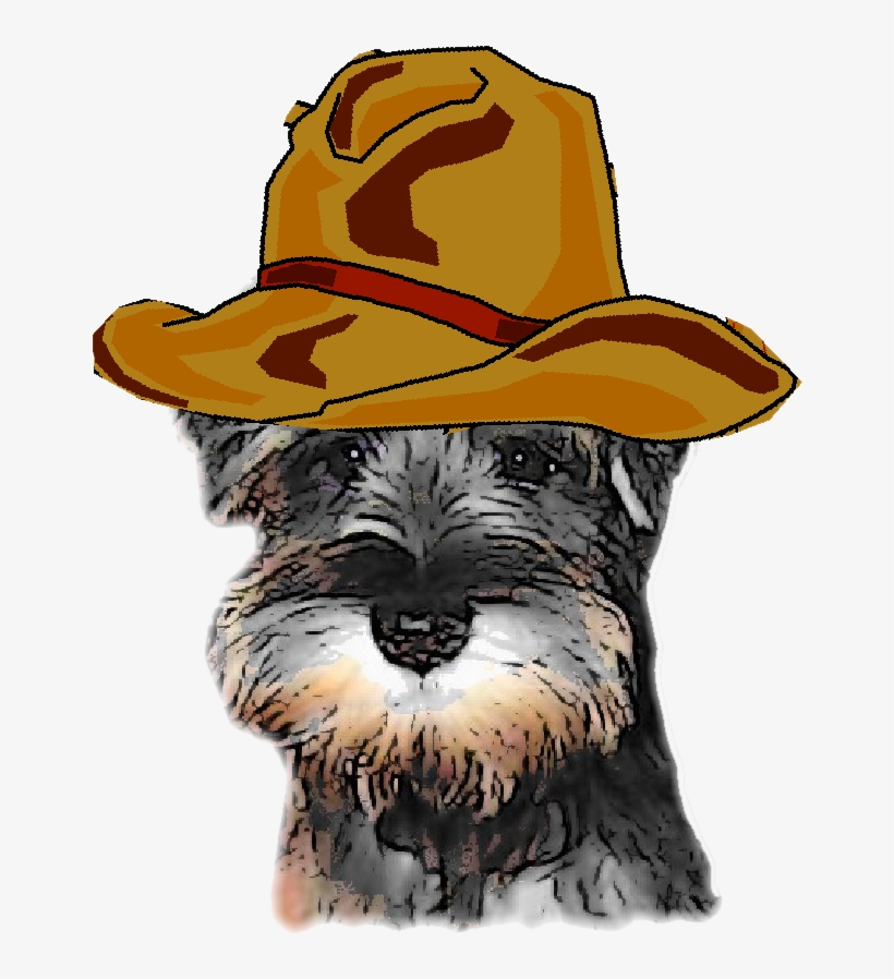 Miniature Schnauzer, transparent png #1569419