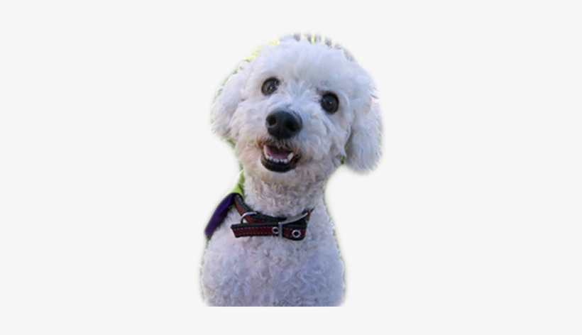 Action - Pennsylvania, transparent png #1569486