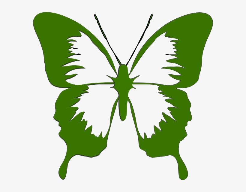 Butterfly Png, transparent png #1569504
