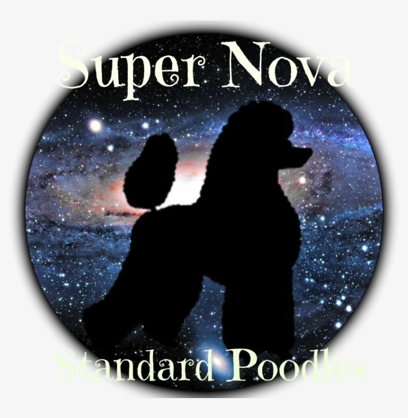 Diy Painting Universe Diamond Cross Stitch Resin Stone, transparent png #1569552