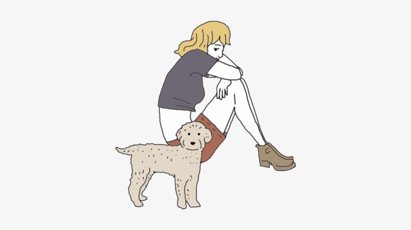 Miniature Poodle, transparent png #1569842