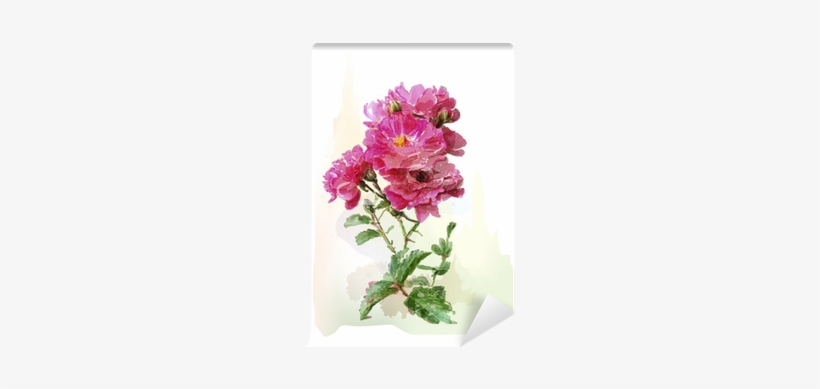 Watercolor Illustration Of The Pink Roses Wall Mural - Illustration, transparent png #1570953