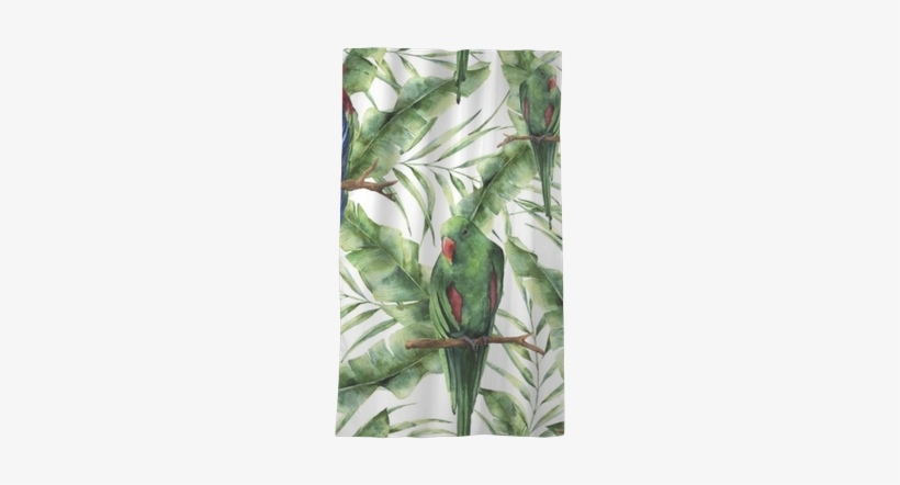 Watercolor Seamless Pattern With Parrots, Banana Palm - Macaws, transparent png #1571268