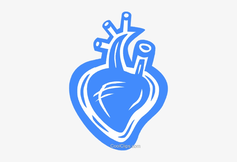 Human Heart Royalty Free Vector Clip Art Illustration - Wound Healing, transparent png #1571901