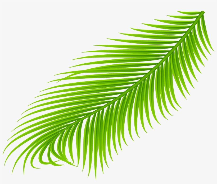 View Full Size, transparent png #1573590