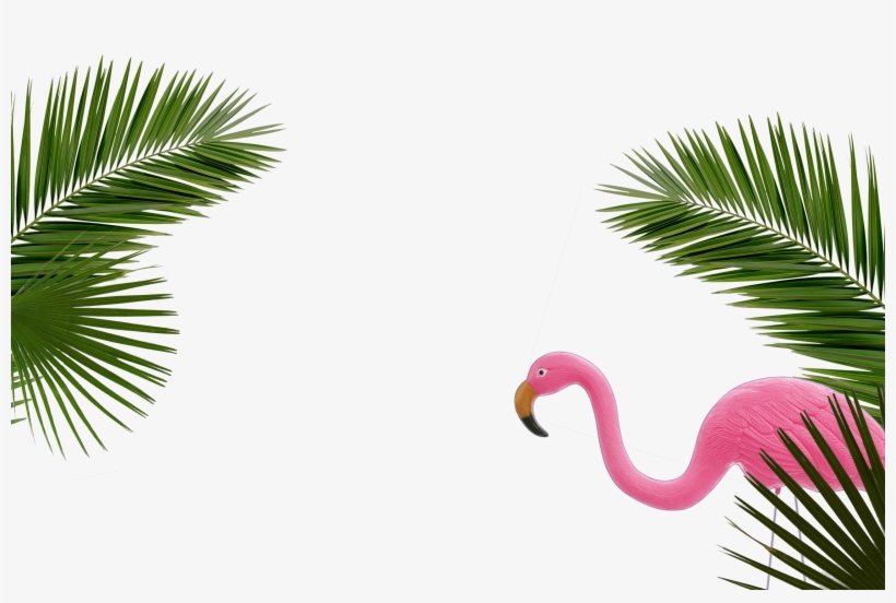 Palms - Society6 Palm Leaf Black & White I Rug - 2' X 3', transparent png #1574510