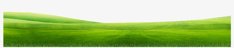Green Lawn Free Vector - Grass, transparent png #1574754