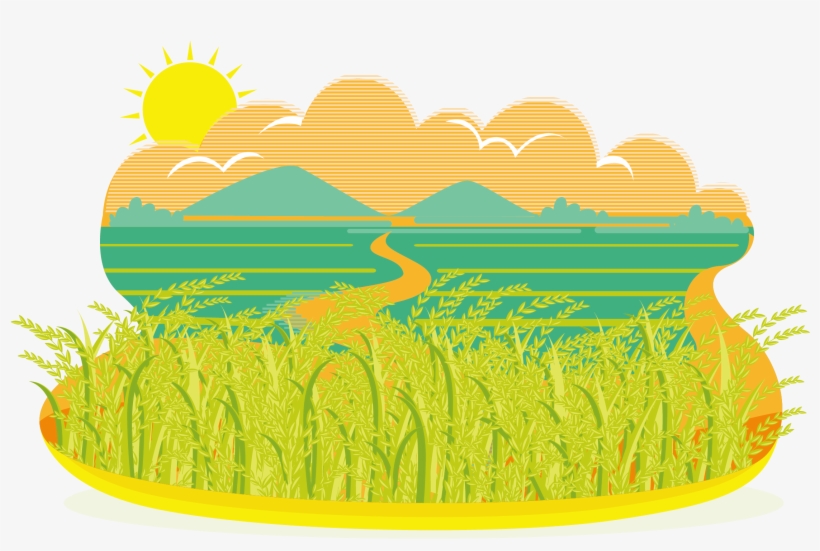Field Clipart Paddy - Rice Field Clipart, transparent png #1575434