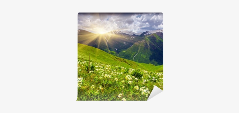 Photography, transparent png #1575499
