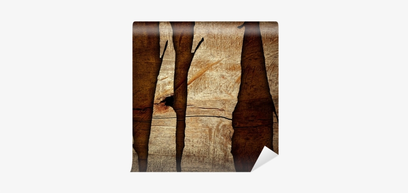 Vinyl Wall Mural, transparent png #1575502