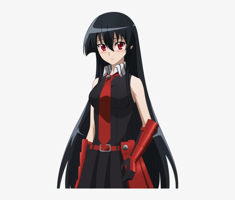 The Shit Waifu Of The Day Is - Akame Ga Kill Akame, transparent png #1575998
