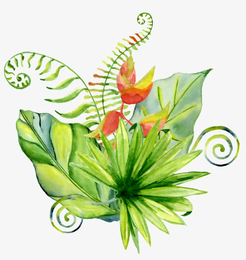 Hand Painted A Variety Of Different Leaves Png Transparent - Mutige Tropische Palmblatt-kranz-hochzeit Danken Geschenkanhänger, transparent png #1577646