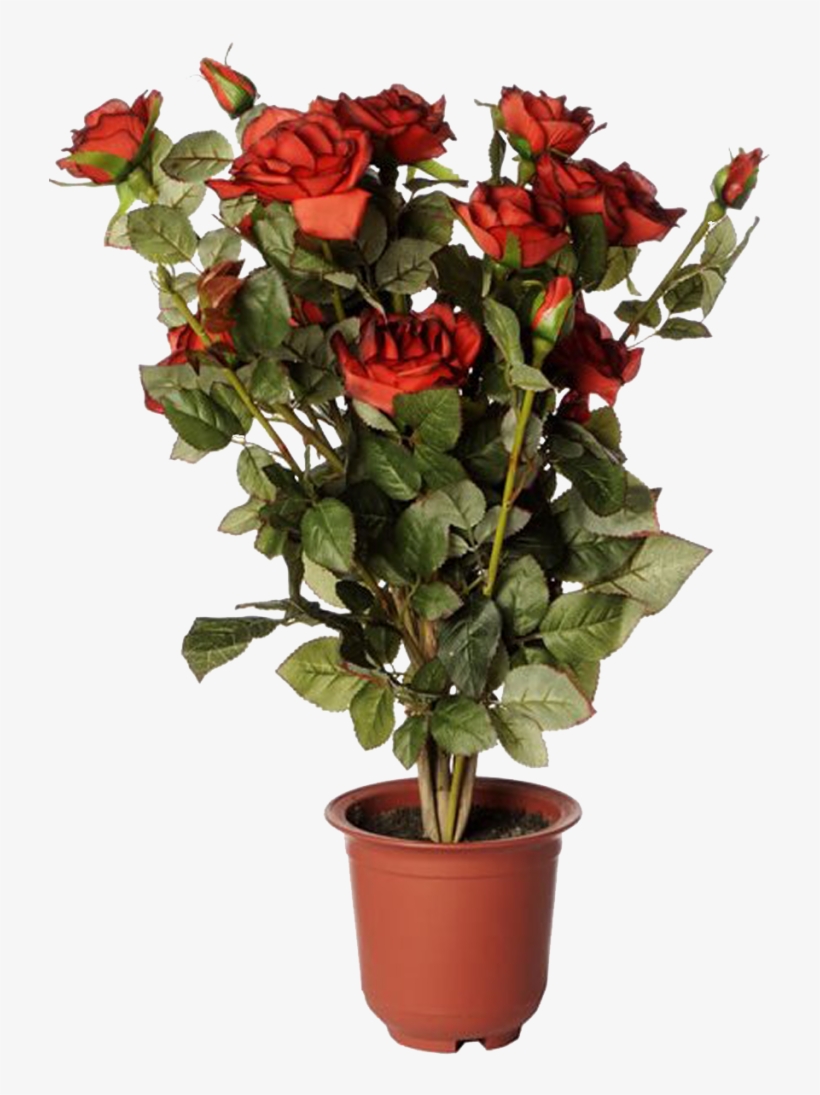 Photo Artificial Red Rose 01 - Photobucket, transparent png #1577870