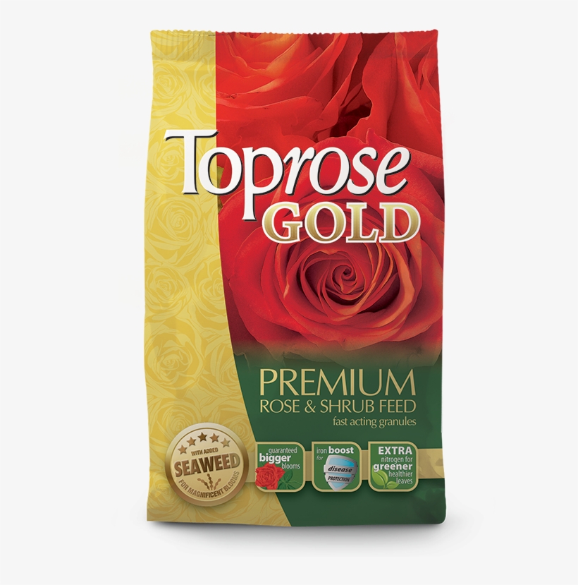 Next - Rose, transparent png #1578247