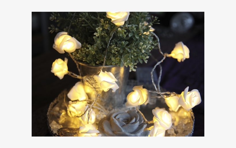 Light Chain Rosebush - Star 726-29 2.1 M Rose Basket Battery Operated 15 Warm, transparent png #1578357