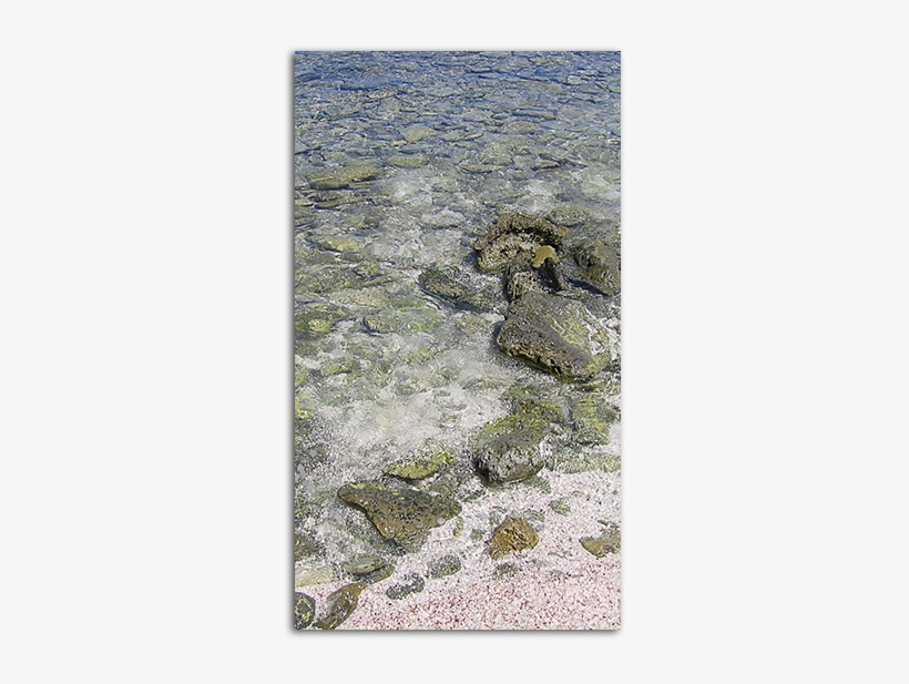 Shallow Shore Big - Painting, transparent png #1578471