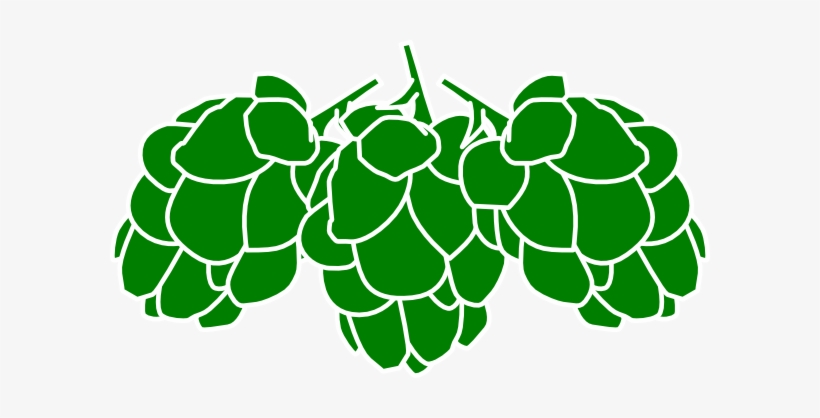 Hops Green Clip Art At Clker - Hops Clipart, transparent png #1580130