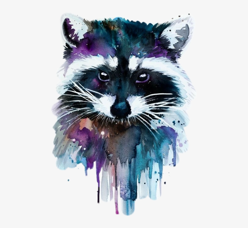 Report Abuse - Watercolour Raccoon, transparent png #1580197