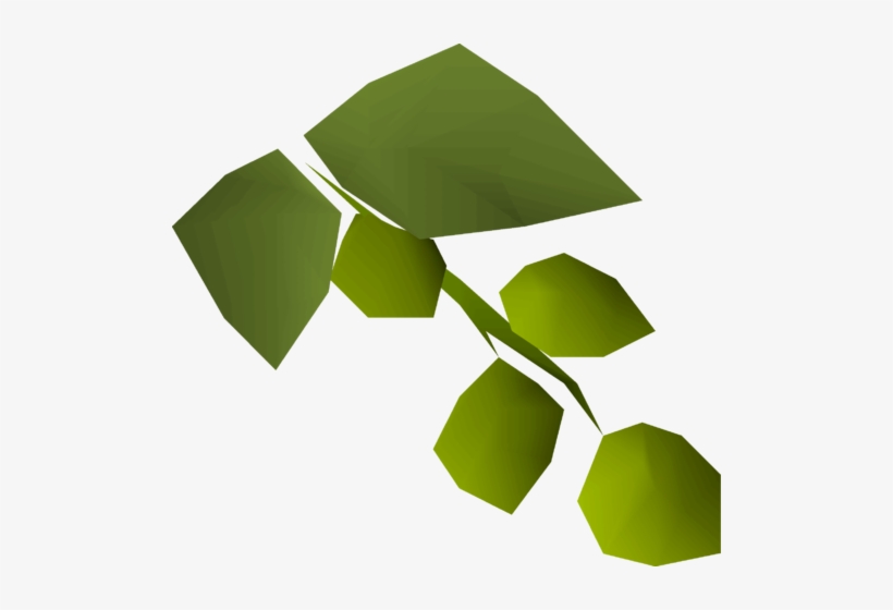 Asgarnian Hops Detail - Cabbage, transparent png #1580525