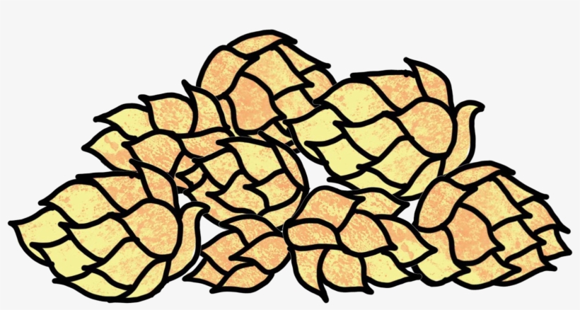 Hops, transparent png #1580550