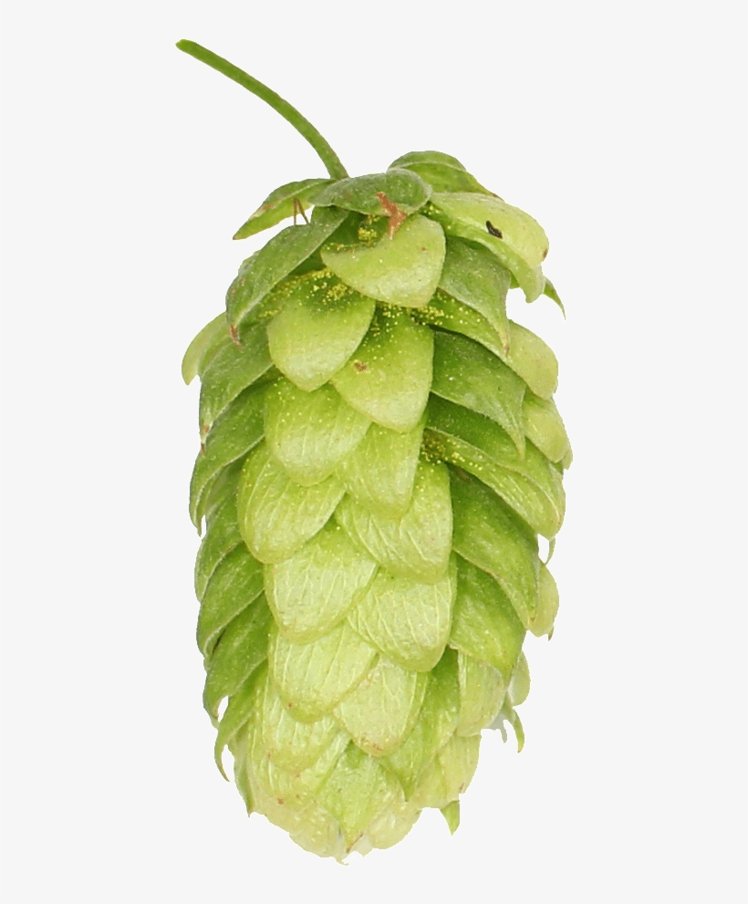 Seedless Fruit, transparent png #1580687