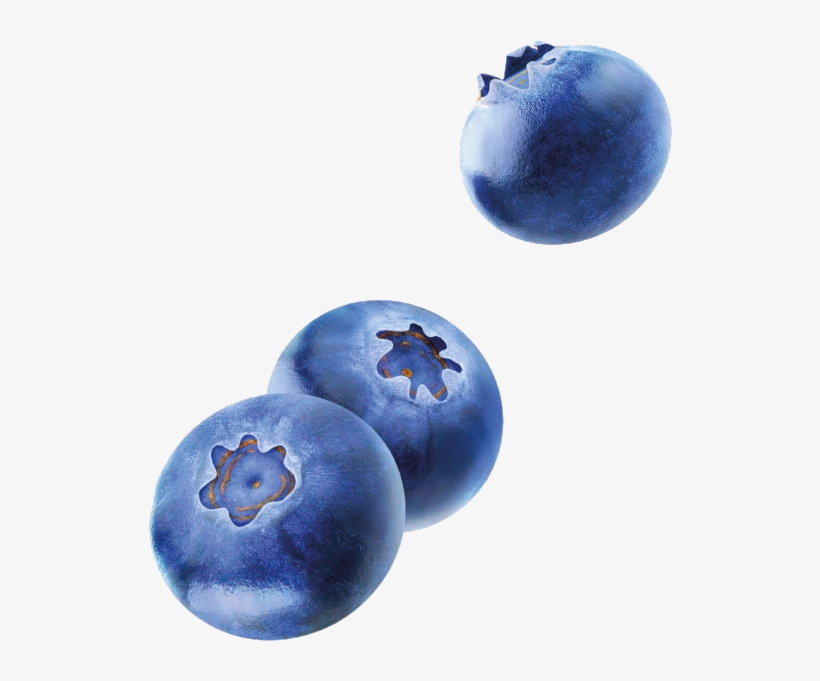 Patisserie And Cafè - Fallende Blaubeeren Rechteckiger Aufkleber, transparent png #1580717